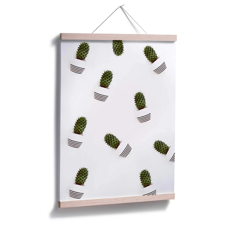 Poster Mein kleiner Kaktus - Kakteen 