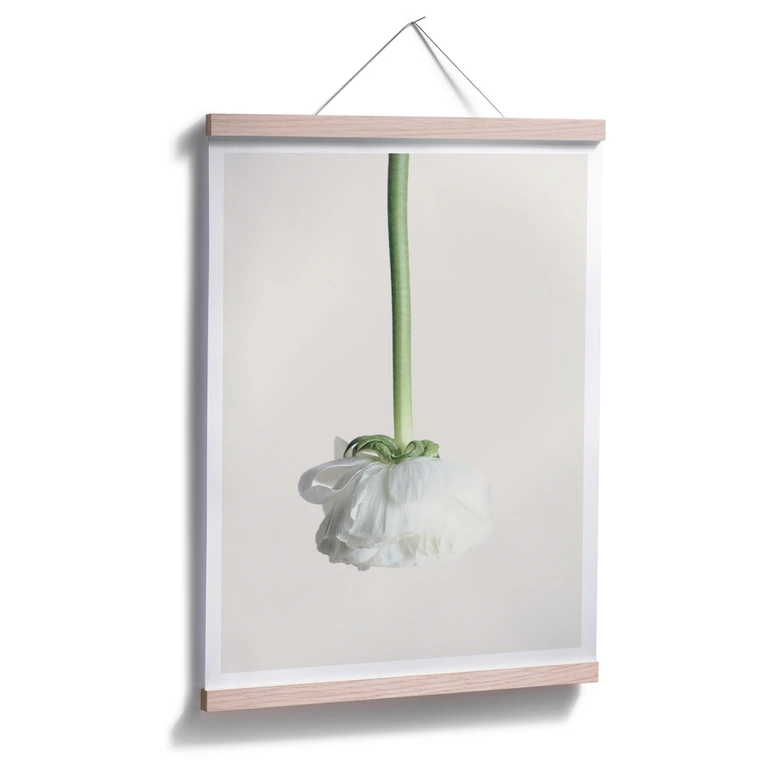 Poster Ranunkel 02 