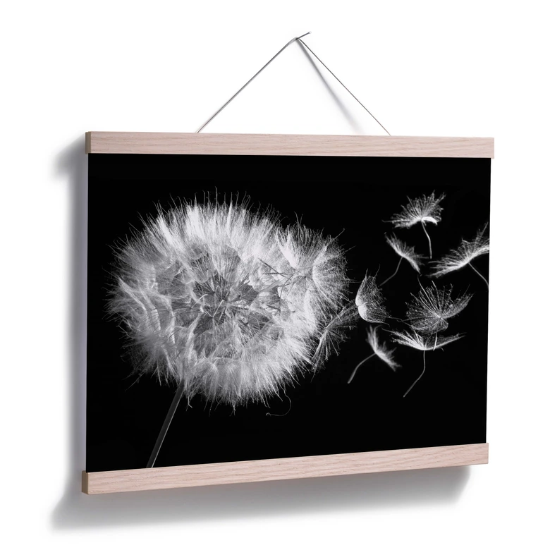 Poster Pusteblume 