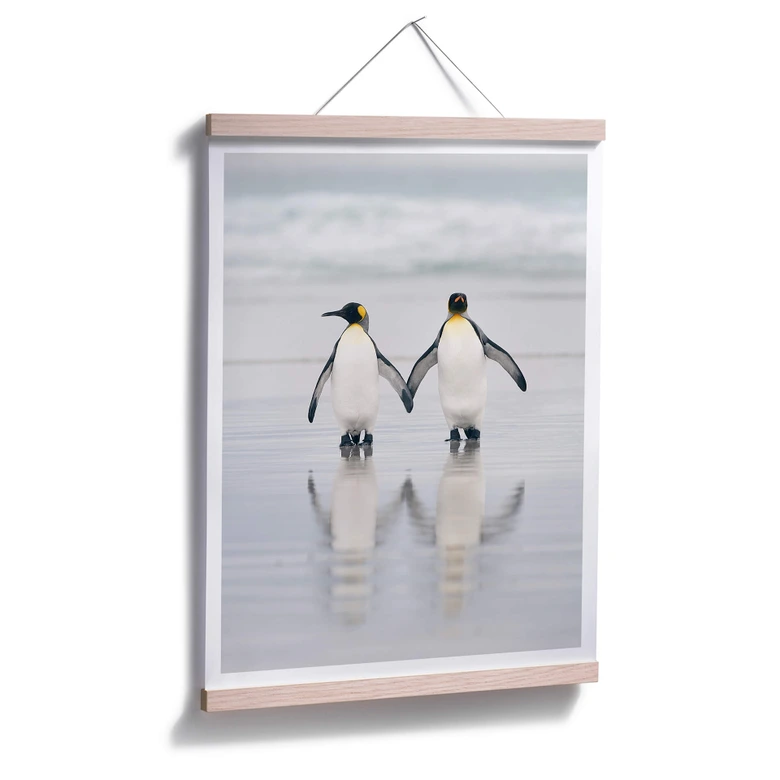 Poster Raga - Freunde 