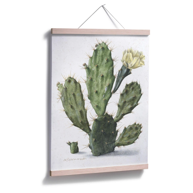 Poster Saftleven - Kaktus 