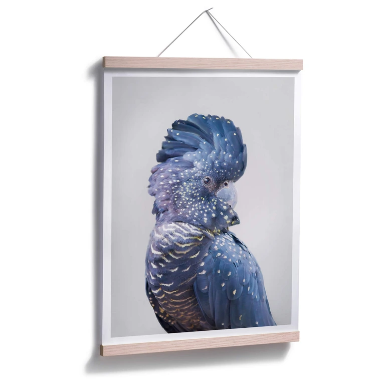 Plakat - Sisi & Seb - Blå kakadue 
