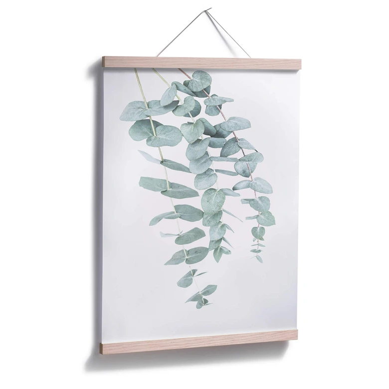 Poster Sisi & Seb - Eucalyptus 