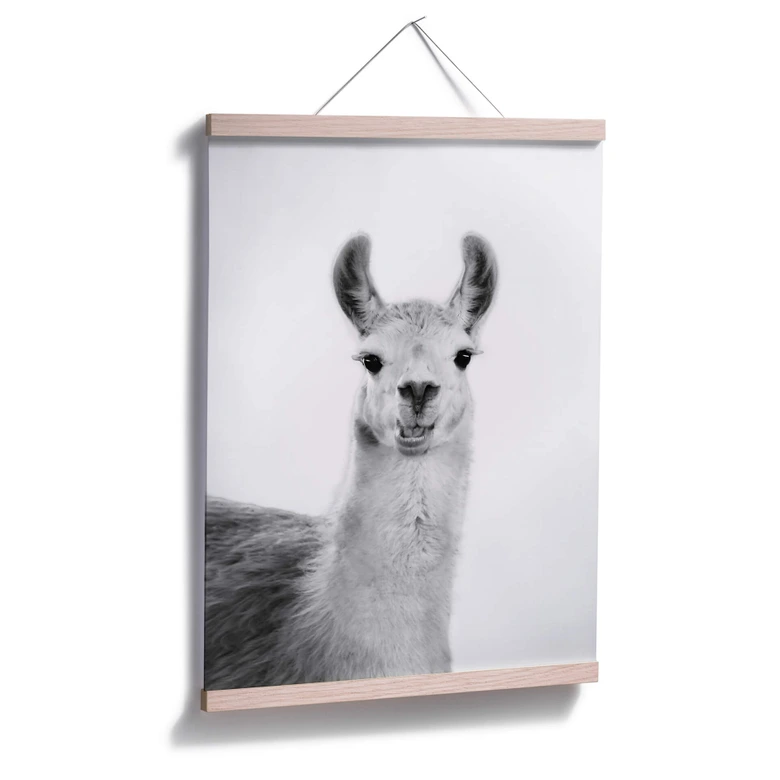 Poster Sisi & Seb - Happy Lama 