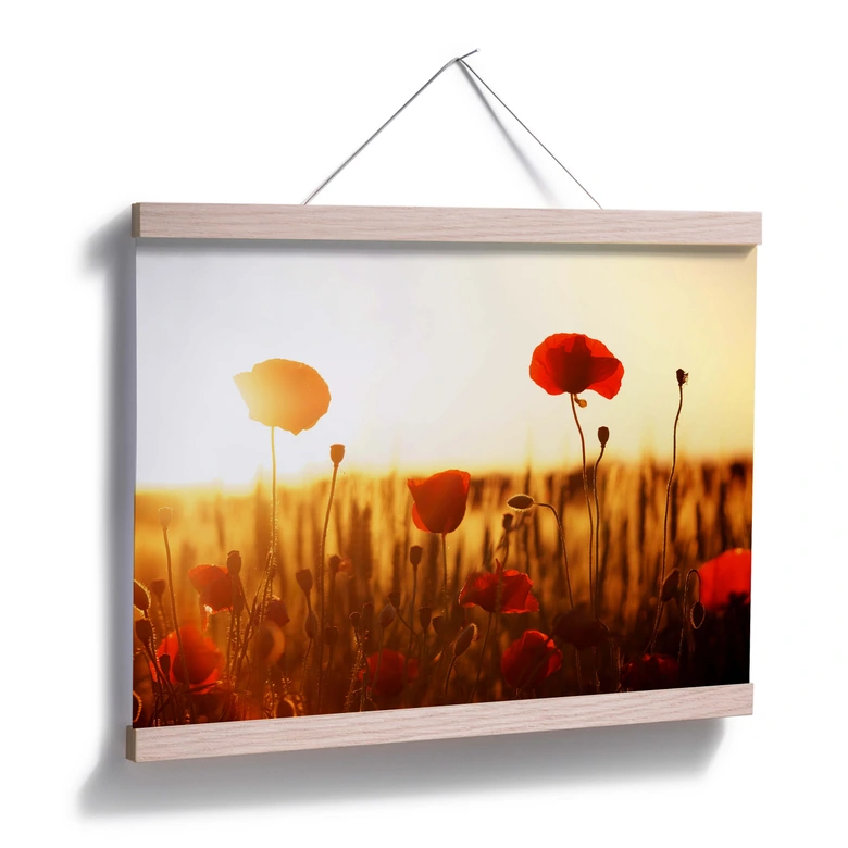 Poster Sonnenflut im Mohnfeld 
