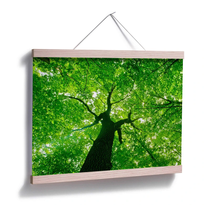 Poster Under the Trees 