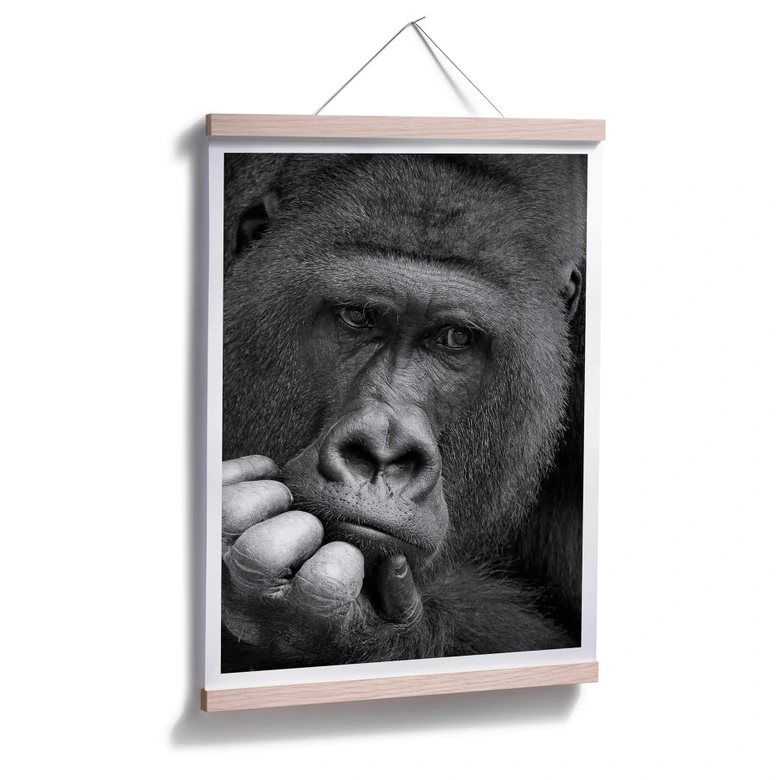Plakat - Wenner - Gorillaen 