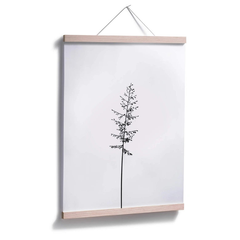 Poster Wiesengräser 