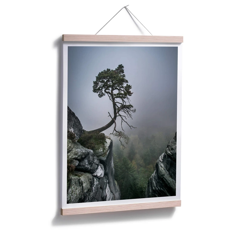 Poster Wonisch - Kräfte der Natur 
