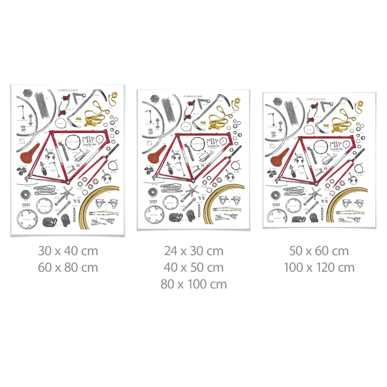 Poster Sparshott - Les composantes d'une bicyclette 