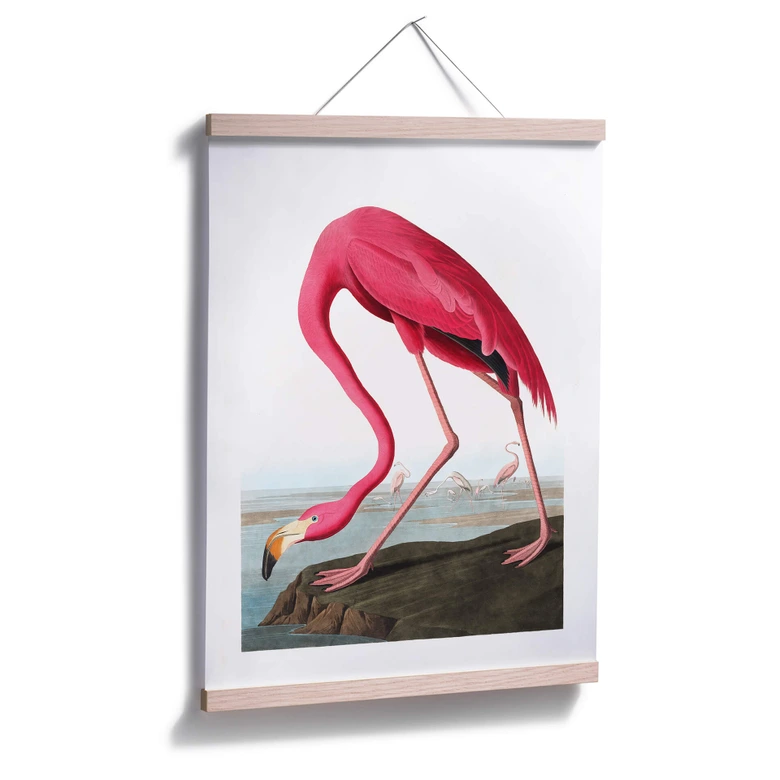 Plakat Pink Flamingo 