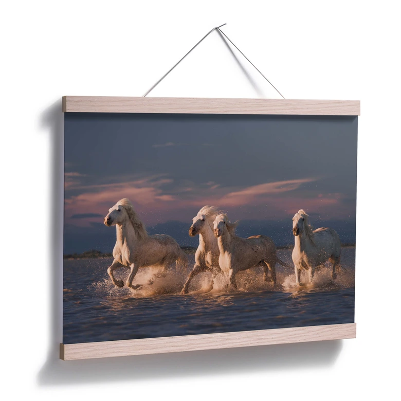 Poster Rostovskiy - Angels of Camargue 