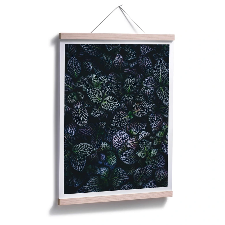 Poster Botanical Contrast 