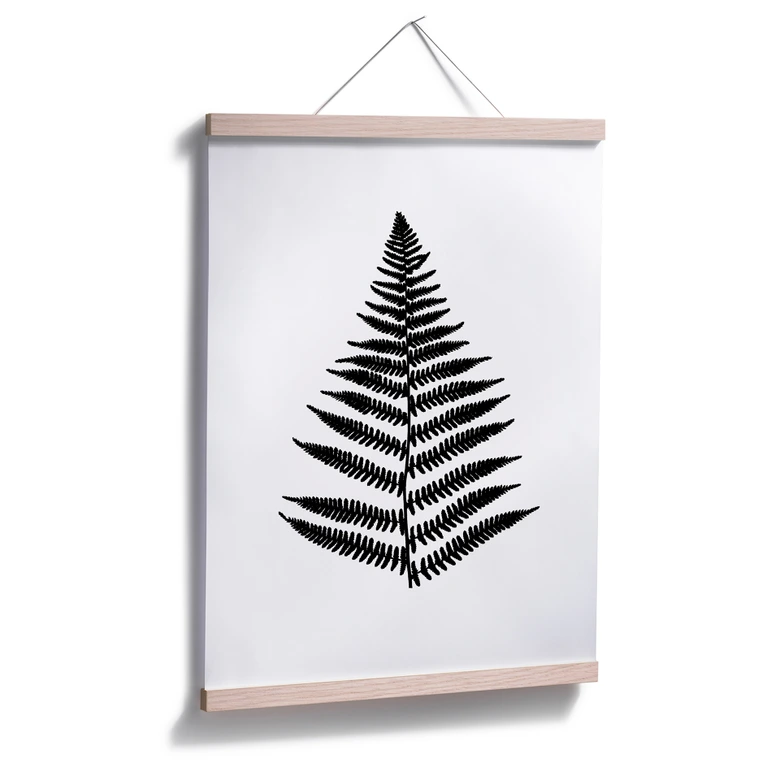 Poster Farn 