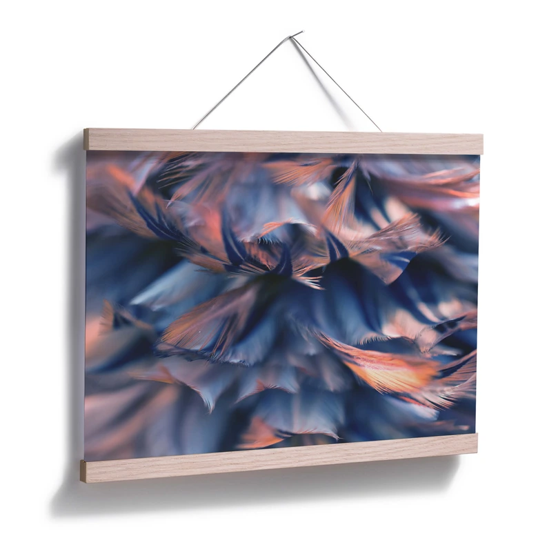 Poster Federkleid 