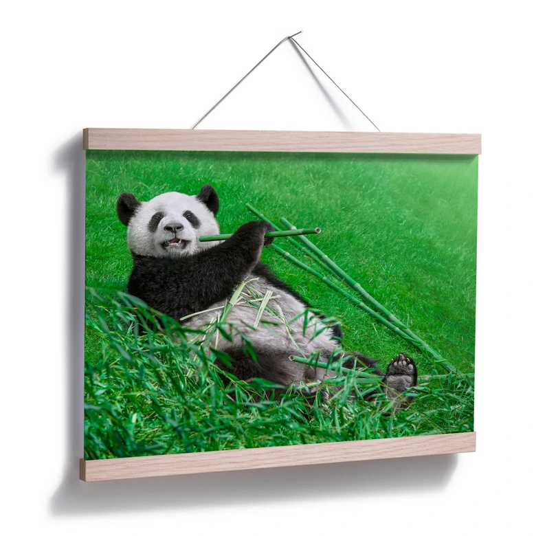 Poster Ben Heine - Glücklicher Panda 