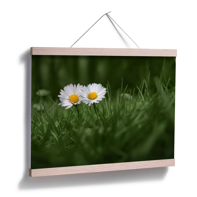 Poster Ben Heine - Zwei Gänseblümchen 