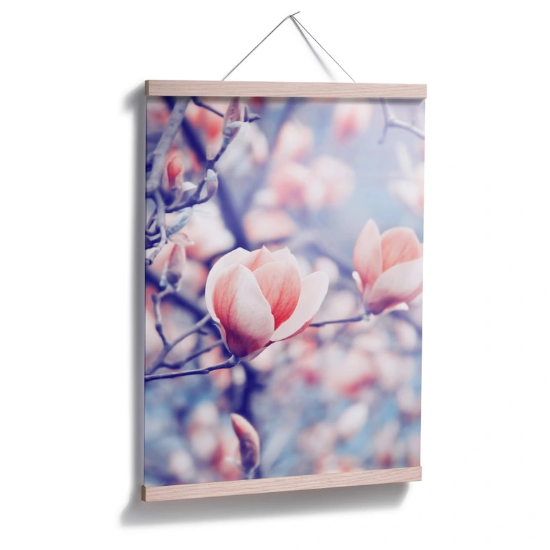 Poster Magnolienknospe 