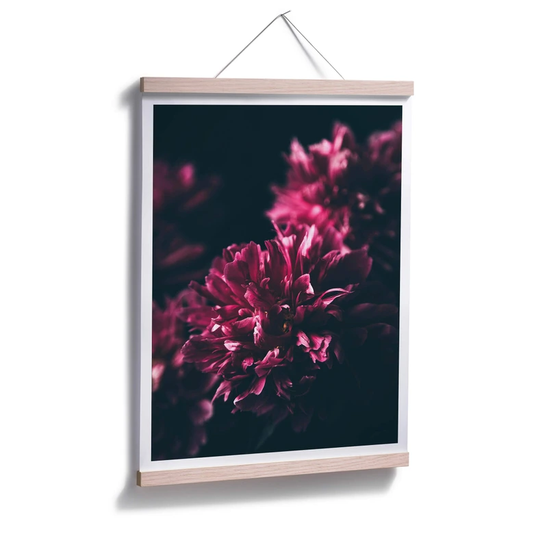 Póster Sueño Flor Rosa 01 