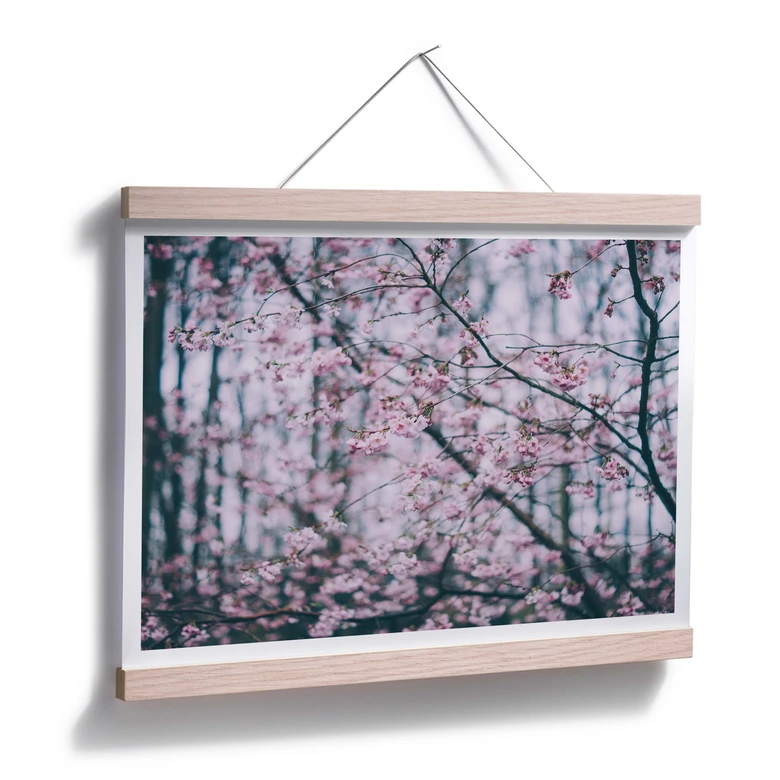 Poster Pink Flower Dream 03 