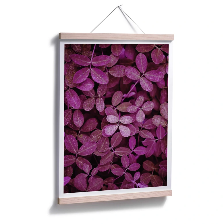 Poster Pink Leaves 