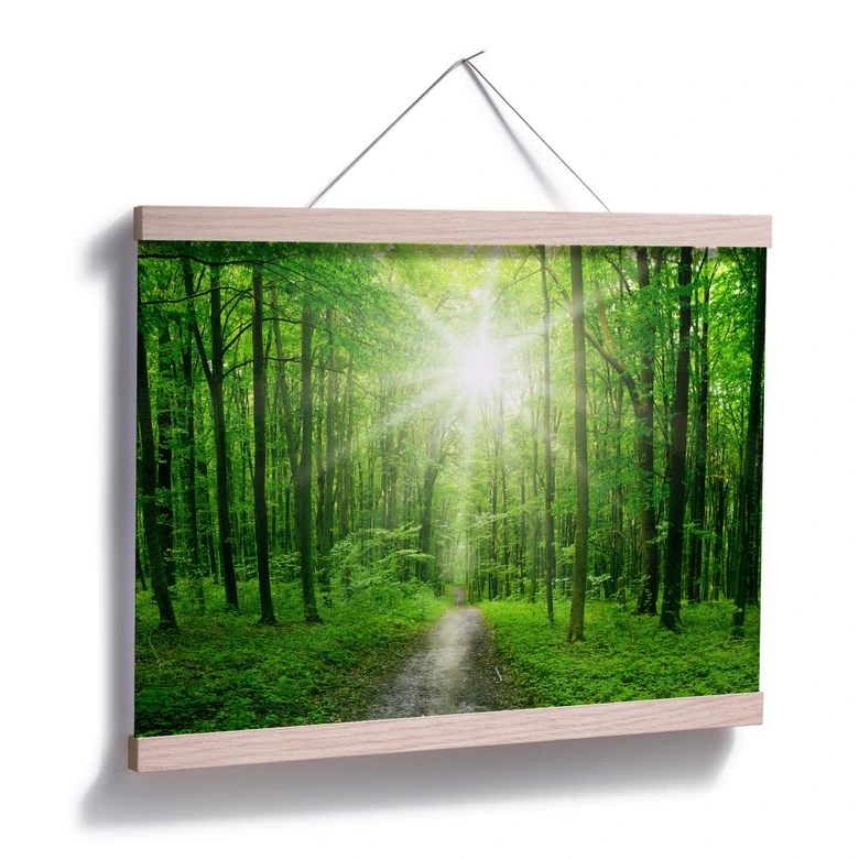 Poster Sunny Forest 