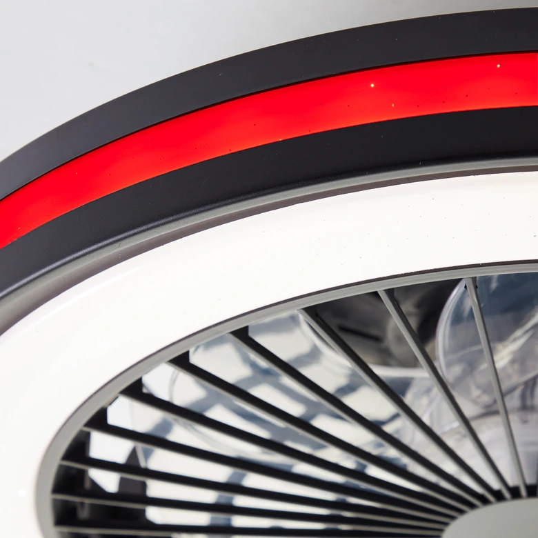 Deckenventilator mit LED-Licht Malea, schwarz, Deckenleuchte 