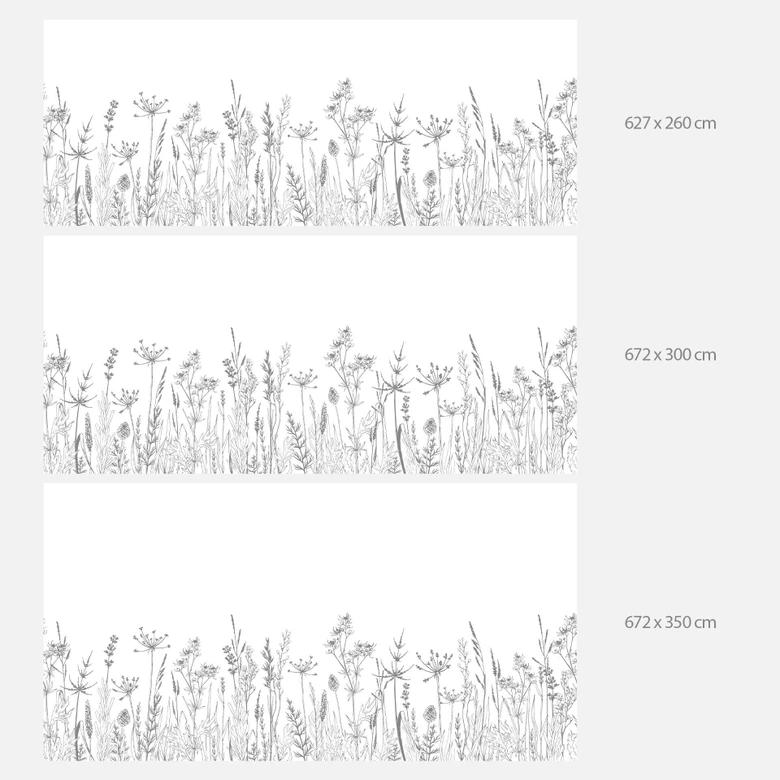 Fototapete Feldblumen Illustration 