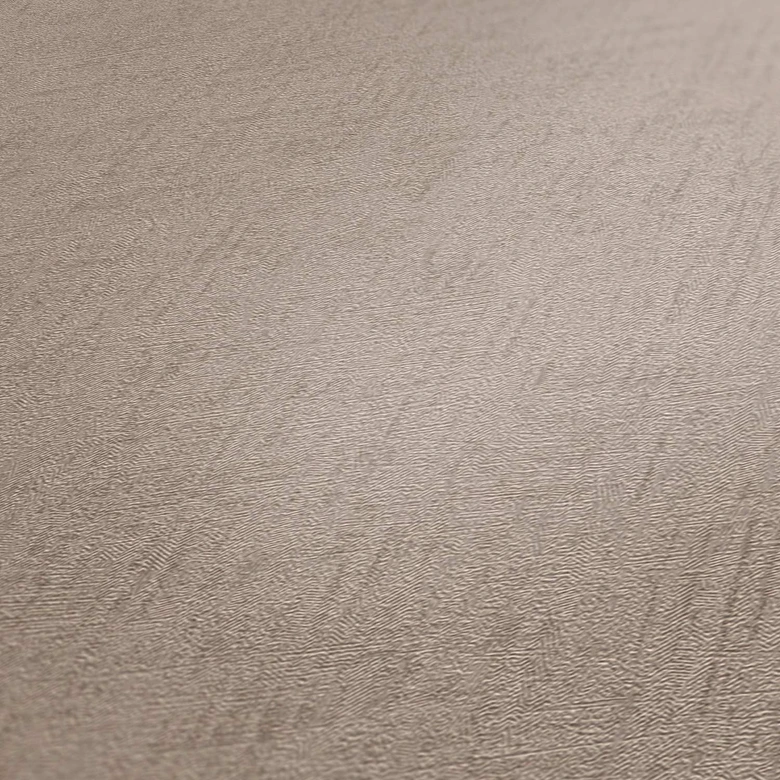 Livingwalls Unitapete Titanium 3 Vliestapete graubraun metallic 