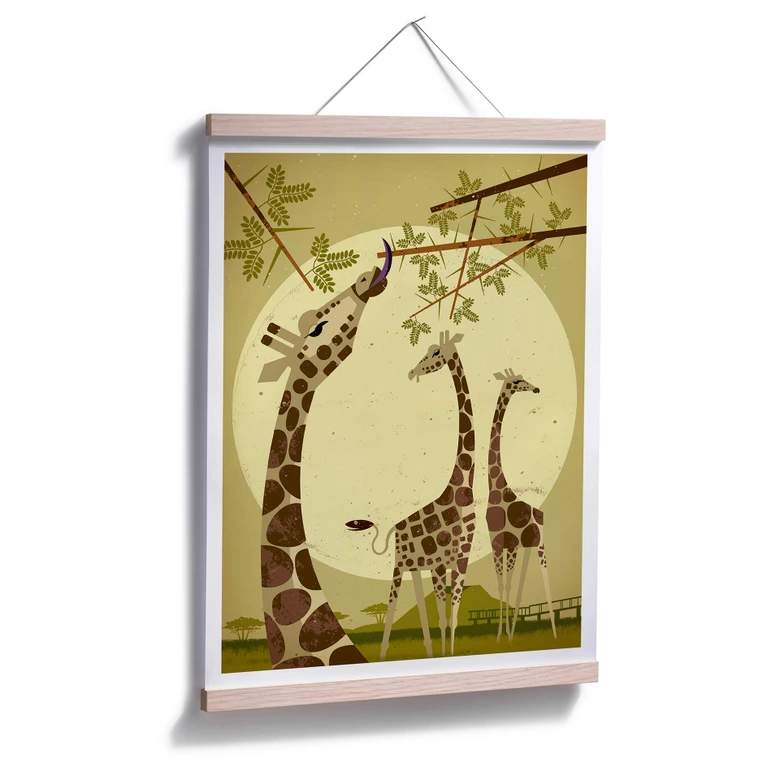 Poster Braun - Giraffes 