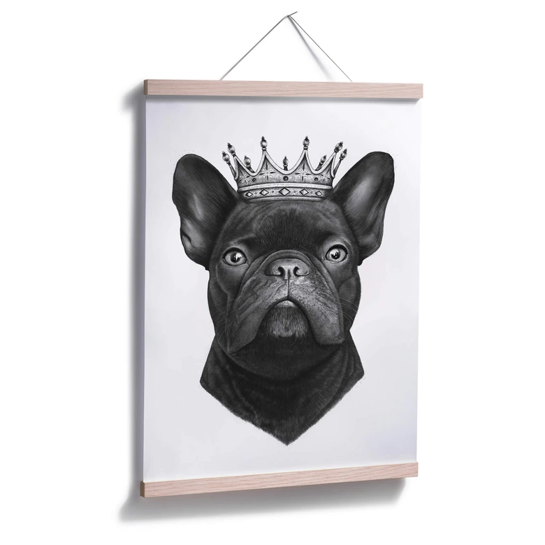 Poster Korenkova - King fransk bulldogg 