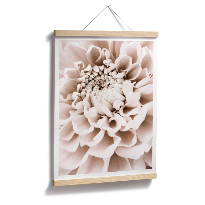 Poster 1X Studio - Chrysantheme 