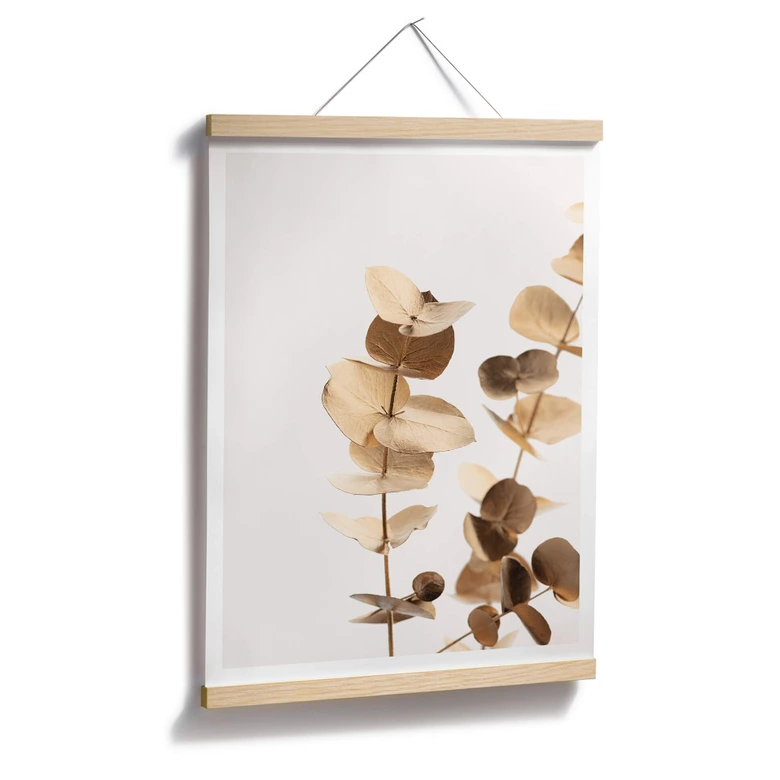 Poster 1X Studio - Goldener Eukalyptus 