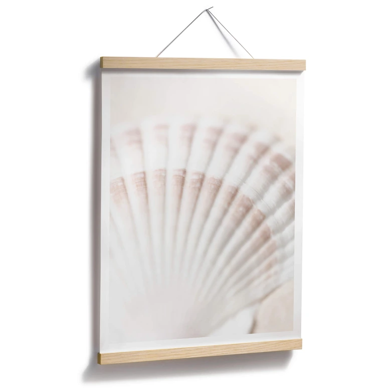 Poster 1X Studio - Jakobsmuschel 