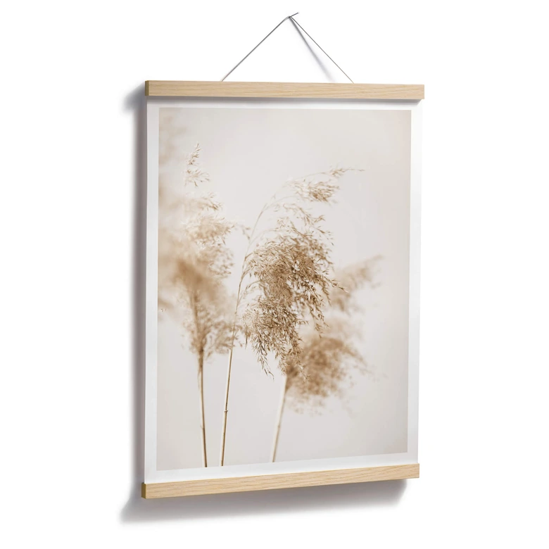 Poster 1X Studio - Sommergräser 