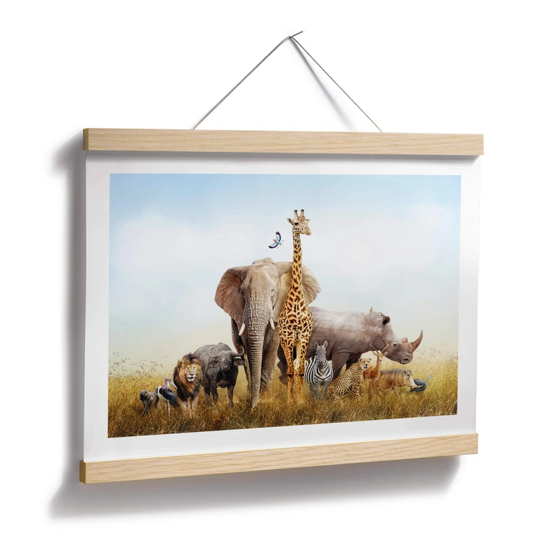 Poster Animaux africains 