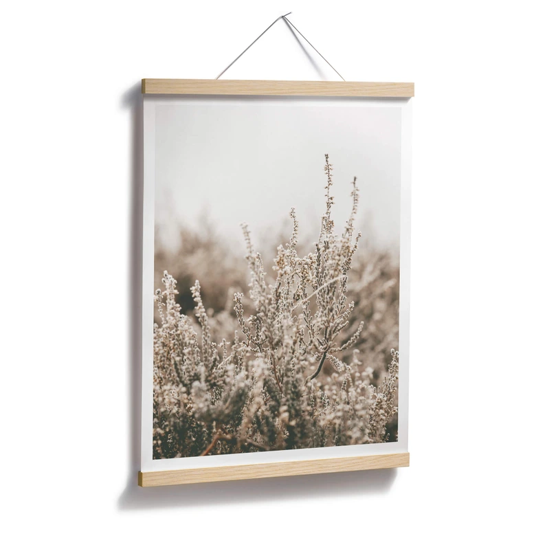 Plakat - Annie - Grass 