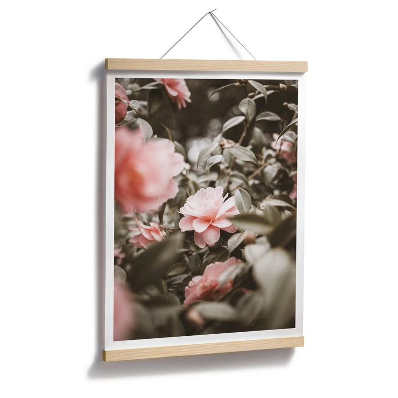 Poster Annie - Rosenblüte 