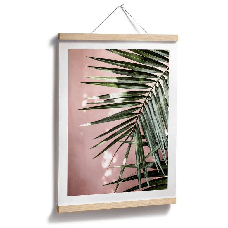 Poster Palmenblatt vor rosa Wand - Böhmer 