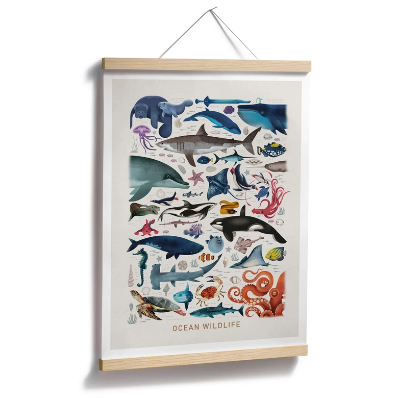 Poster Braun - Ocean Wildlife 