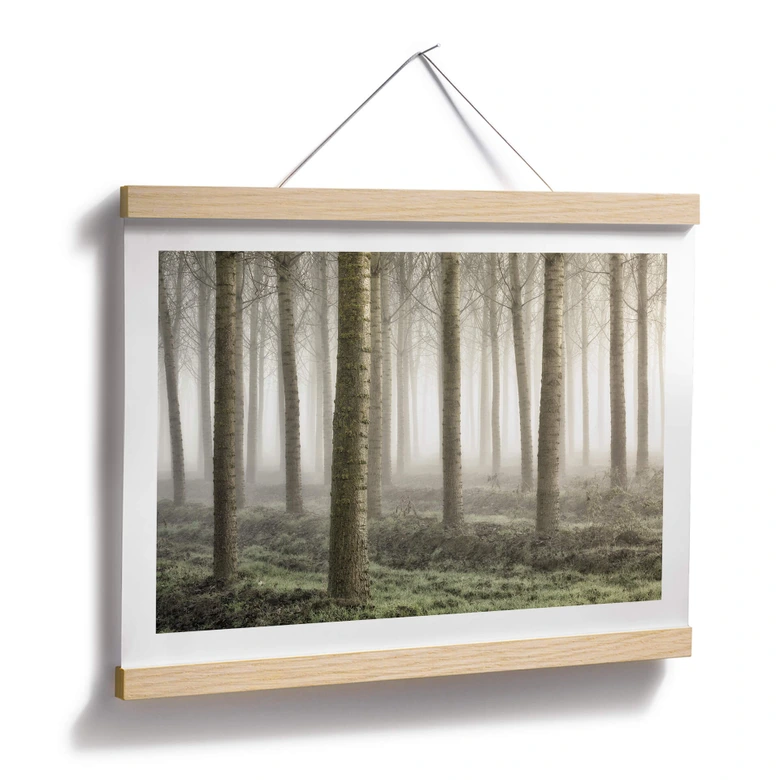 Plakat Carozzi - Bajkowy las w porannej mgle 