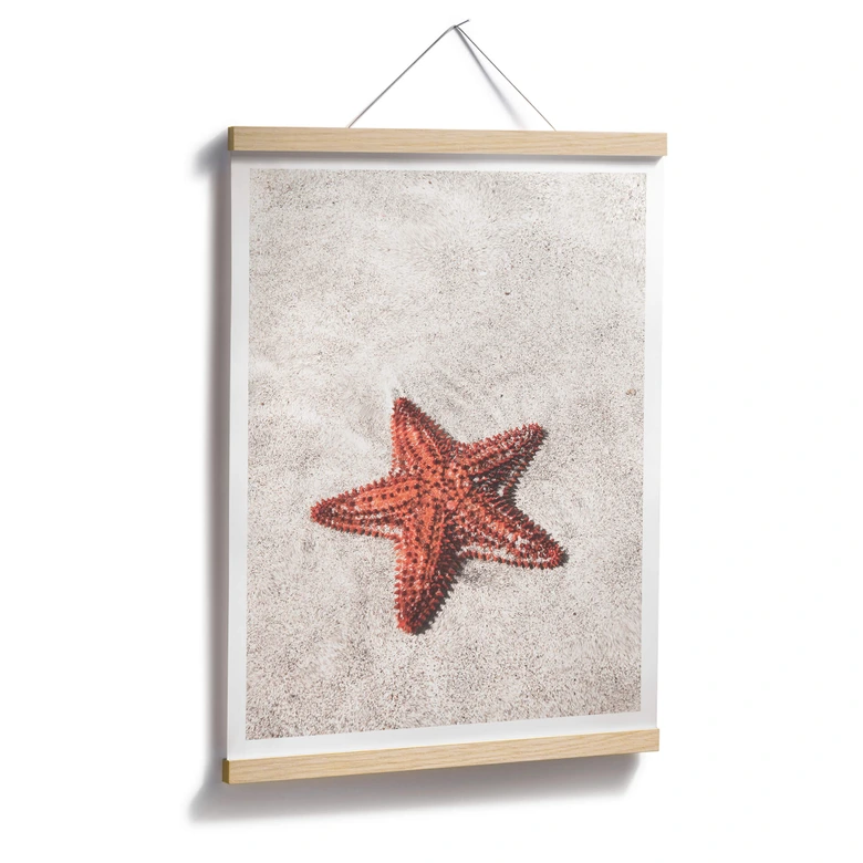 Póster Colombo - Estrella de mar roja 