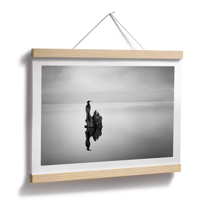Poster Digalakis - Eleganter Wasservogel 