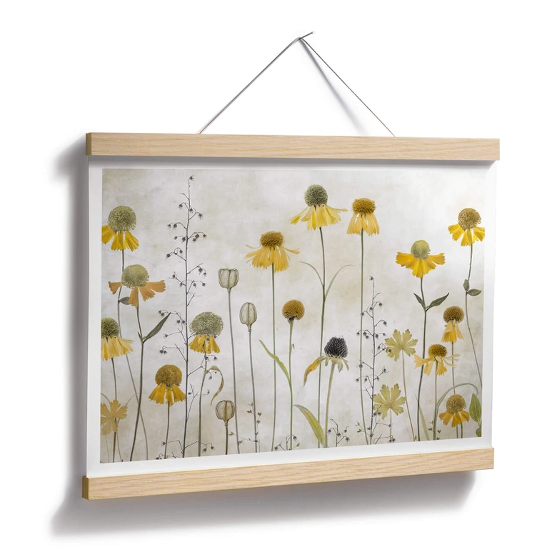 Plakat Disher - Słonecznik 