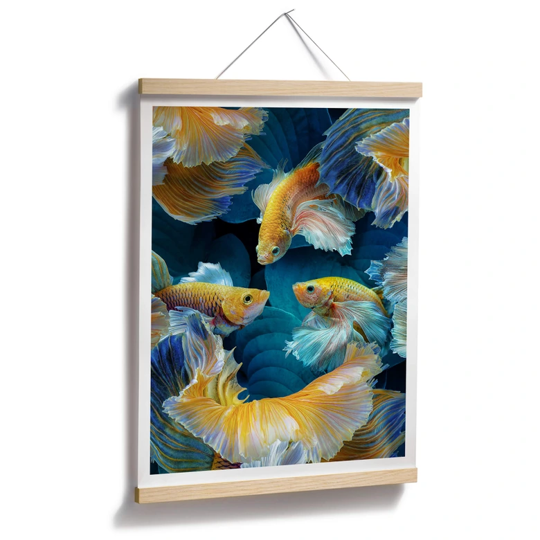 Póster Egger - Peces de colores 