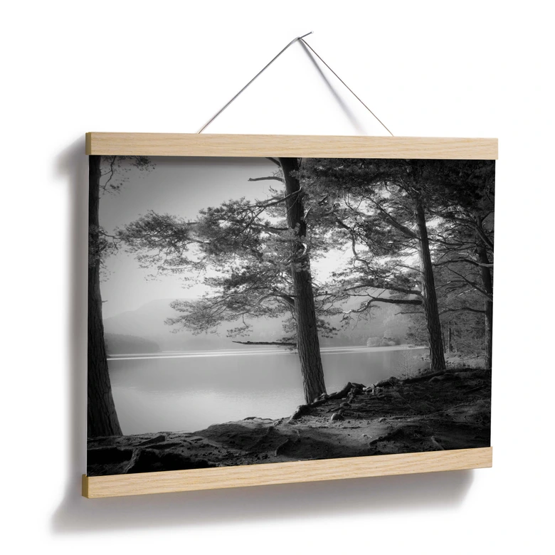 Póster Fuhg - Vista del lago 