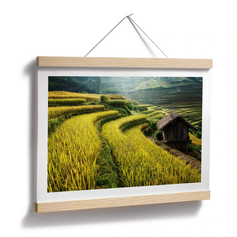 Poster Intarob - rizières au Vietnam 