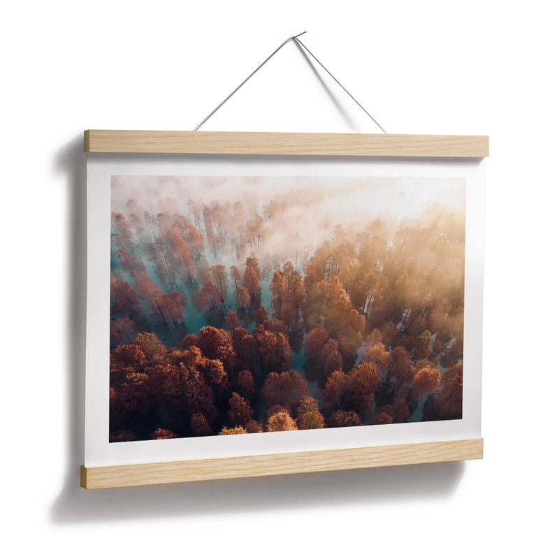 Poster Herbstwald im Nebel - Ioricon 