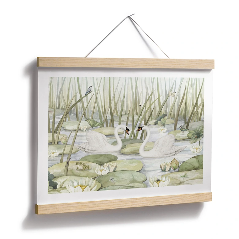 Poster Zwei Schwäne im Teich - Kikki Belle 