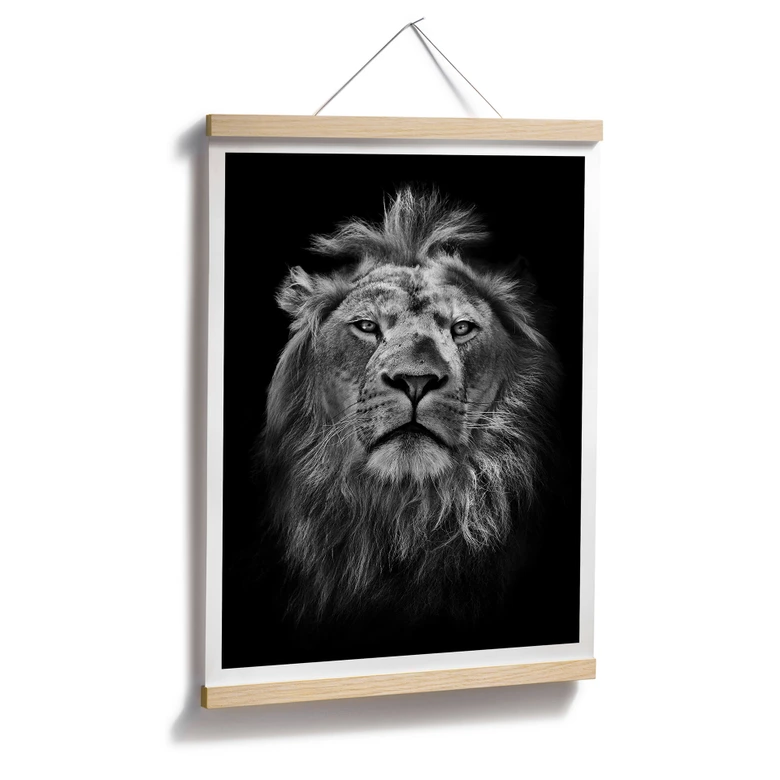 Poster Lion 